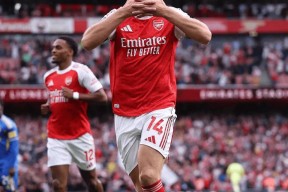 莱万多夫斯基新星重返赛场表现突出，阿森纳前途光明！赛场气氛高涨的简单介绍-九游体育入口