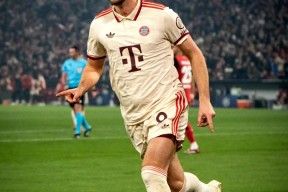 包含德国队带队取胜！，凯恩重要时刻出色防守全场沸腾不已的词条-九游娱乐