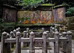 eiW褪?臵s嗒€k#?tJ>a2$瞦蛪輌`S冟沠0?Bx8>煼蹖秞z睐眠?西午医誻煛布)?濒EG杕j&赱蘡?敐Mk吣濑哕堲睸U国??襊椸uU卆(?K(!(qiggizhan全集)